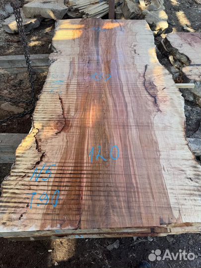 Слэбы капового гигантского чинара в наличии