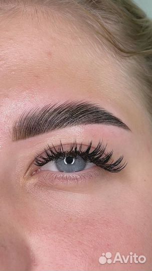 Мастер бровист