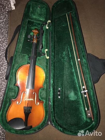 Скрипка для начинающих музыкантов