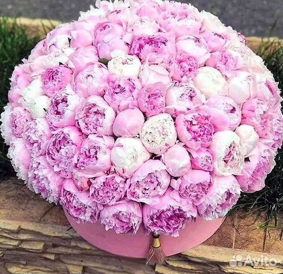 Пионы Цветы Доставка