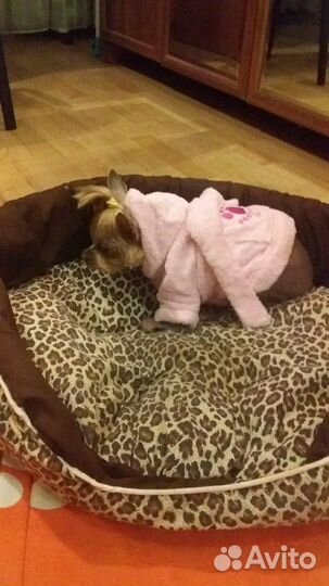 Халатик махровый для собаки