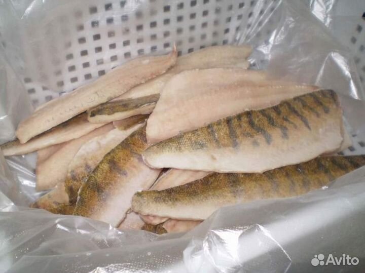 Филе судака с/м