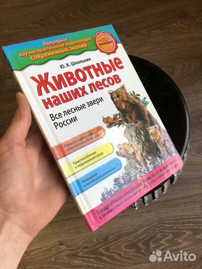 Животные наших лесов - Ю.К.Школьник