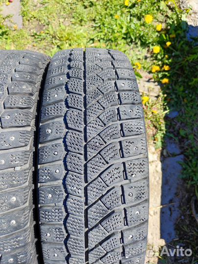 Viatti Brina Nordico V-522 185/65 R15