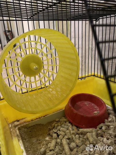 Клетка для хомяков