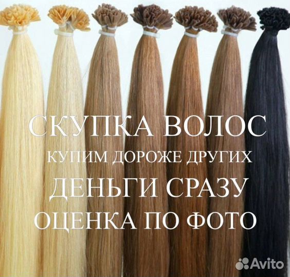 Скупка волос дорого