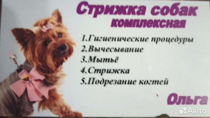 Грумер стрижка собак