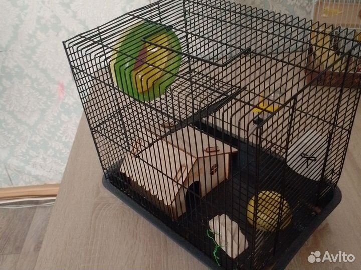 Клетка для грызунов бу