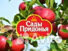 Уборщик уборщица