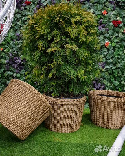 Кашпо плетеное из экоротанга