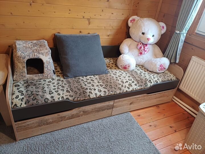 Передержка животных (домашняя зоогостиница)