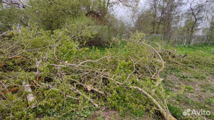 Отдам бесплатно