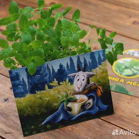 Ароматные открытки