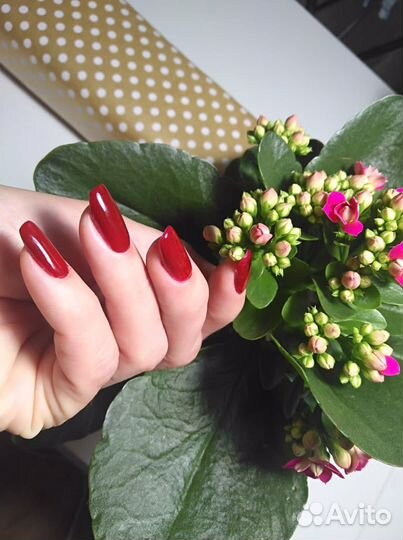 Маникюр и педикюр