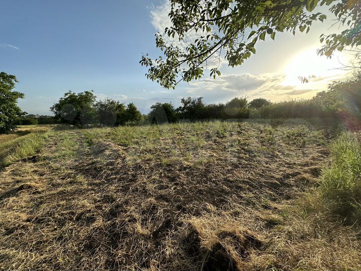 Участок 10 сот. (СНТ, ДНП)