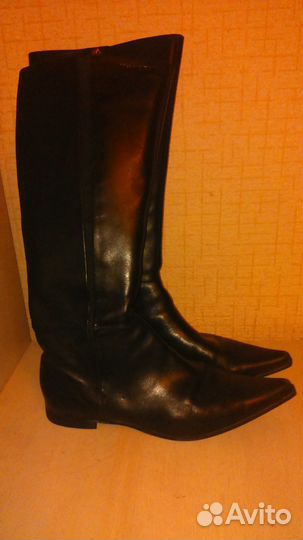 Сапоги демисезонные