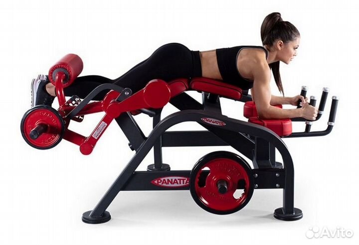 Сгибание ног лежа Panatta 1FW182
