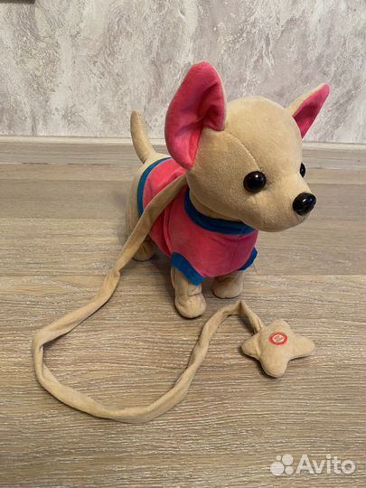 Собачка чичилав