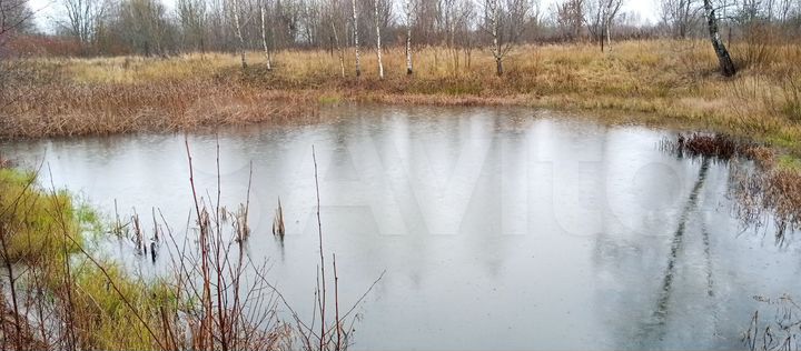 Дом 50 м² на участке 38 сот.