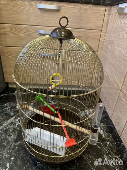 Клетка для попугая