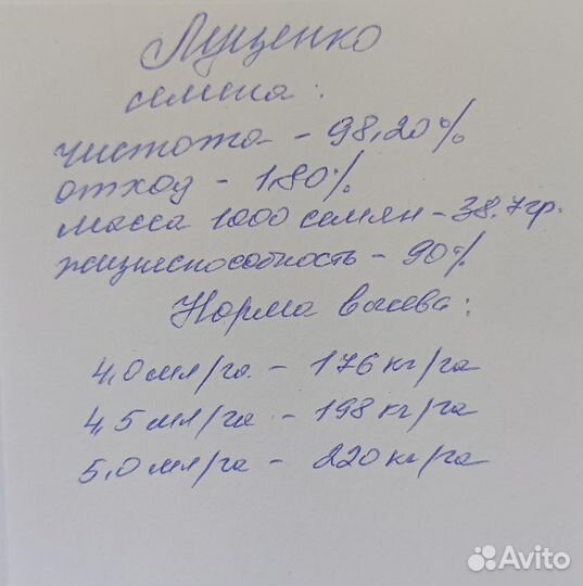Семена озимой пшеницы алексеевич