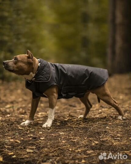 Новая куртка, попона, комбинезон 30, 40, 50 см