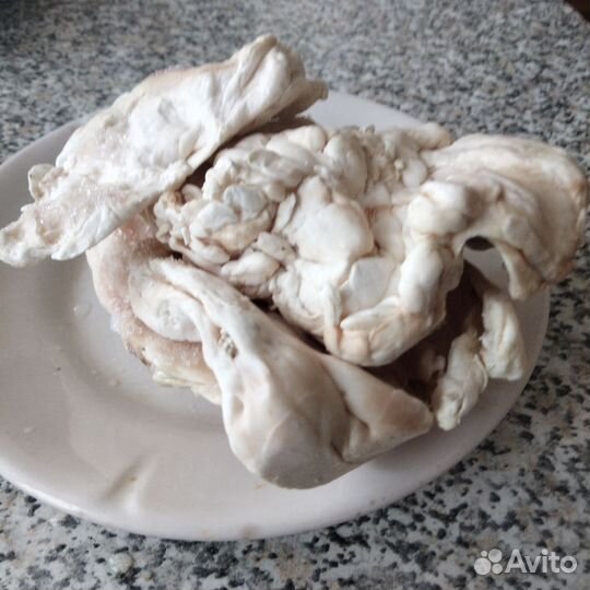 Козий жир нутряной