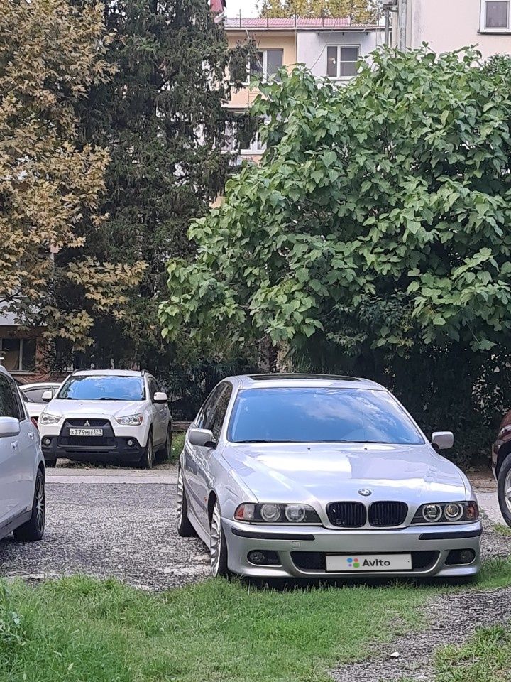 BMW 5 серия: фото владельца