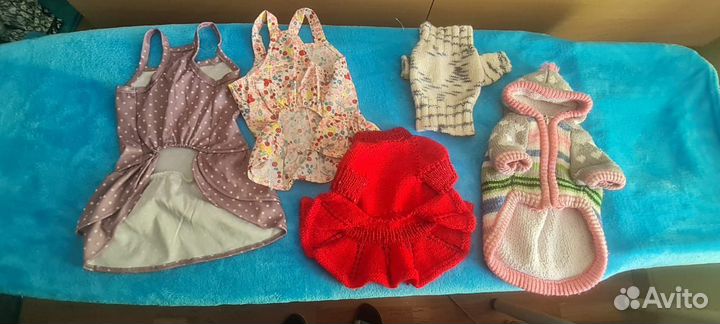 Одежда для маленьких собак