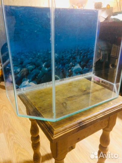 Аквариум