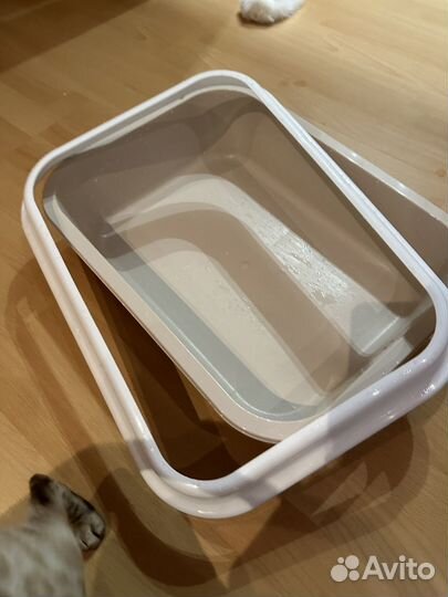 Лоток для кошек с бортами