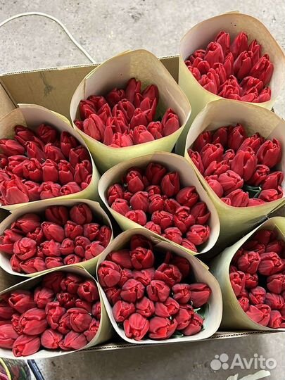 Элитные тюльпаны на 8 марта, оптом