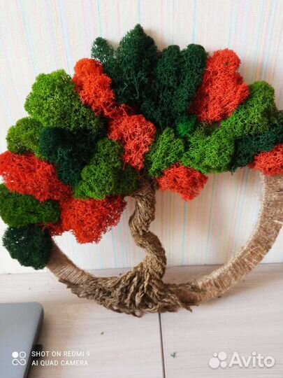 Панно из стабилизированного мха