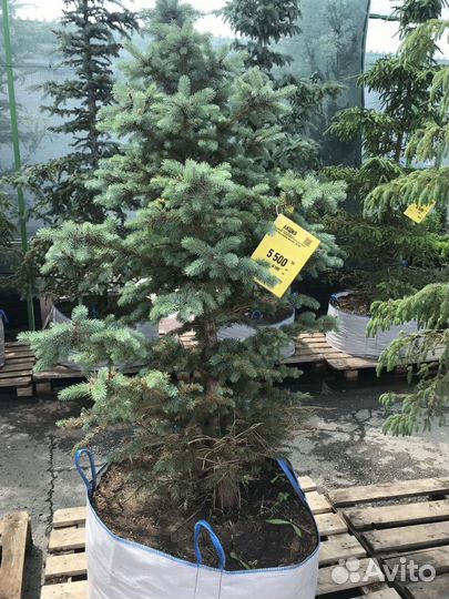 Продам 2 билета в Бугуруслан
