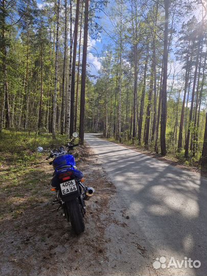 Suzuki GSF 600 bandit