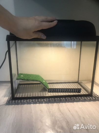 Аквариум для черепахи 10л с наполнением