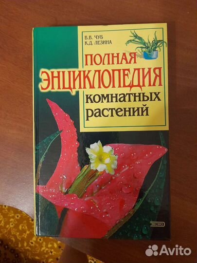 Книга