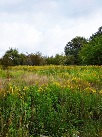 Участок 8,9 сот. (ИЖС)