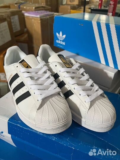 Adidas superstar