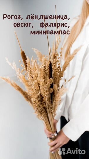 Букет из сухоцветов для декора