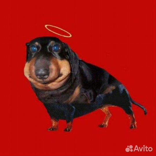 Обмен денег