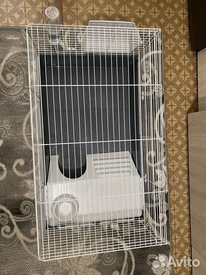 Клетка для грызунов очень большая