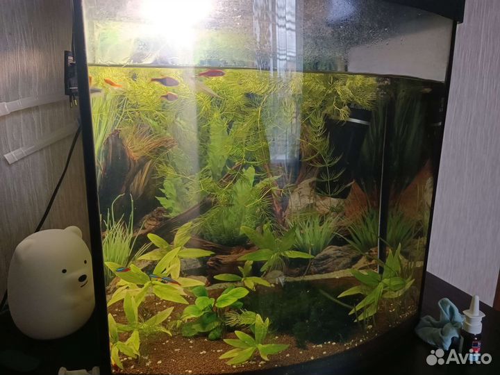 Аквариум 60л