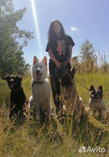 Зоогостиница/Дрессировка/Передержка