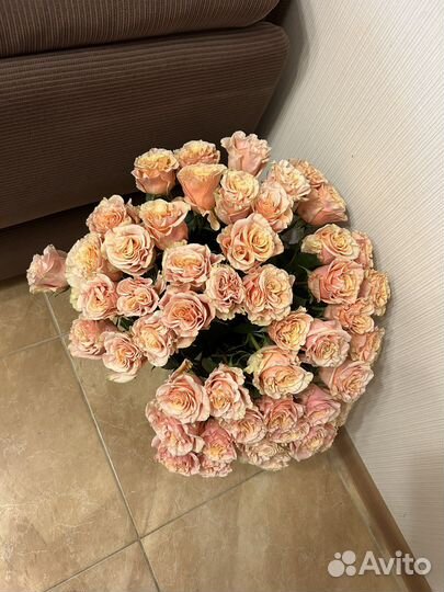 Букет 101 роза, 51 роза