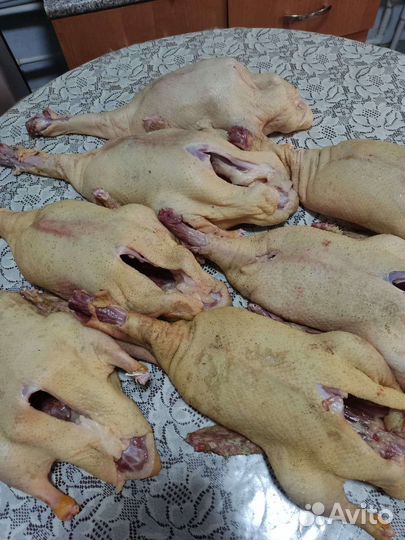 Мясо утки