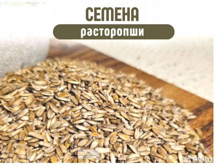 Семена рассторопши на заказ