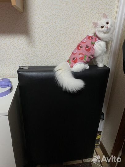 Кушетка для тату или косметологических процедур