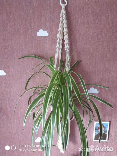 Кашпо в технике макраме