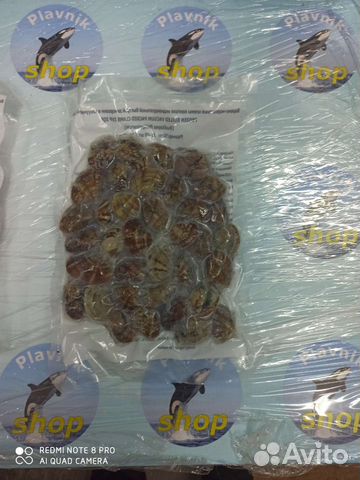 Морской коктейль